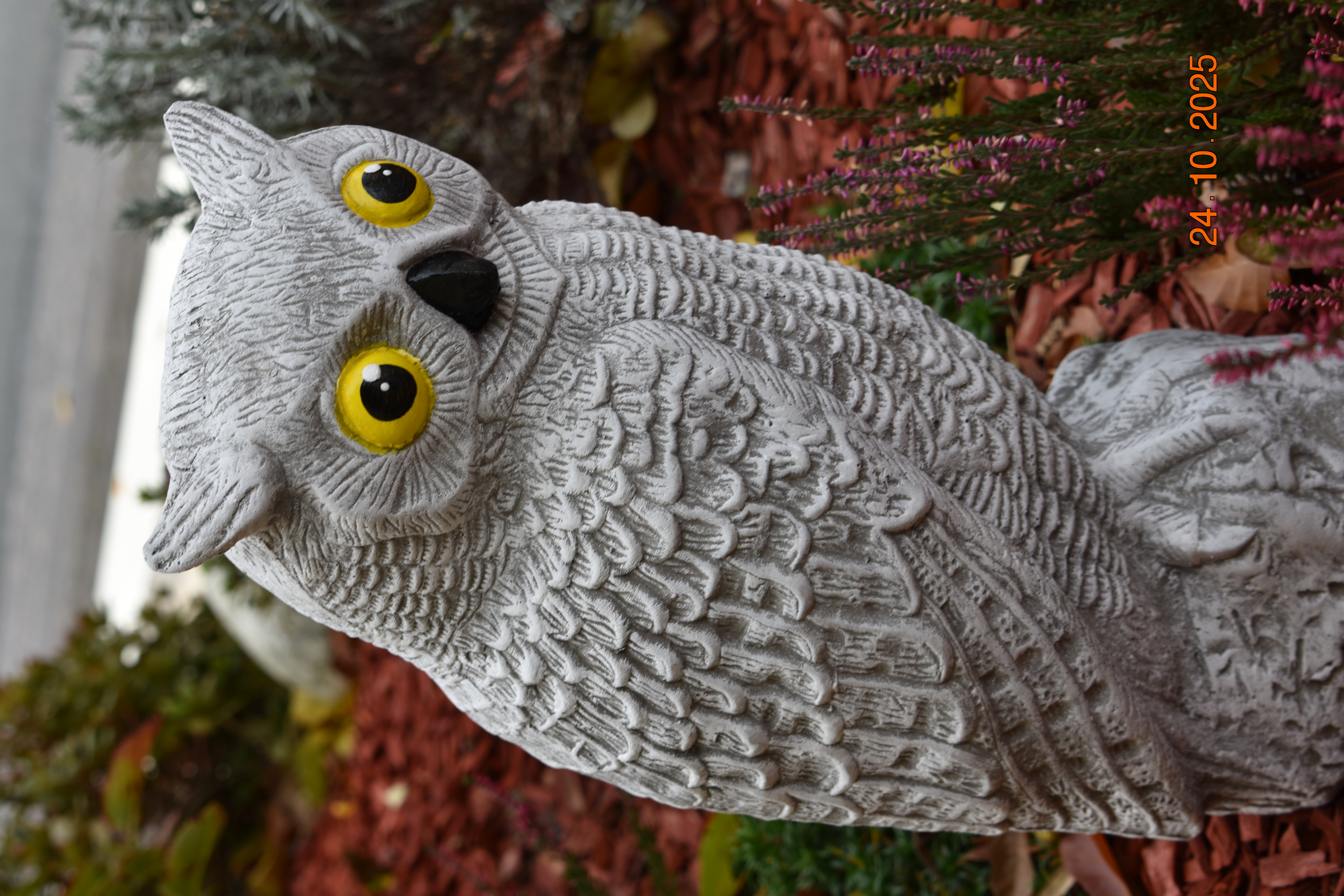 XXL Uhu mit gelben Augen "Bubo"