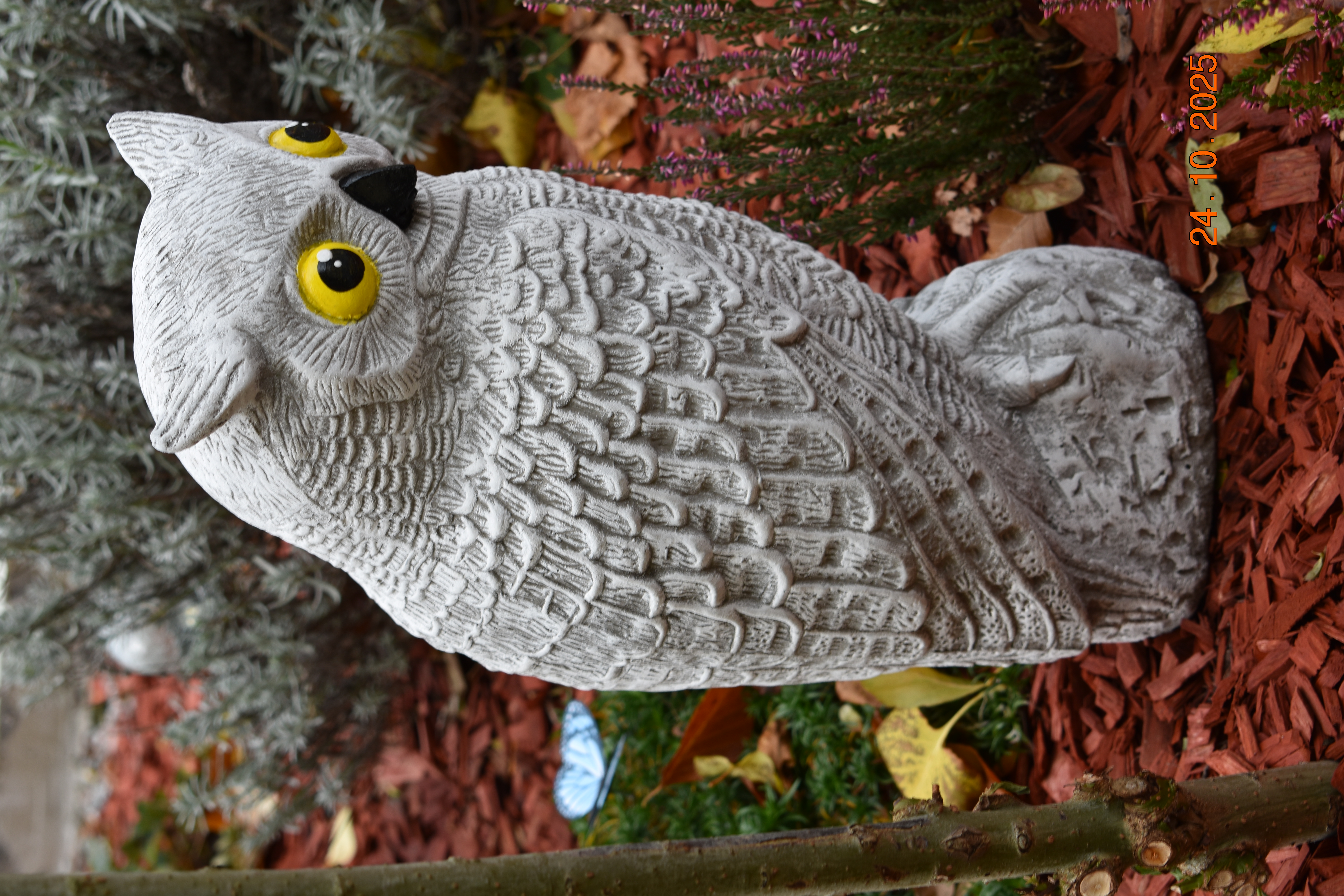 XXL Uhu mit gelben Augen "Bubo"