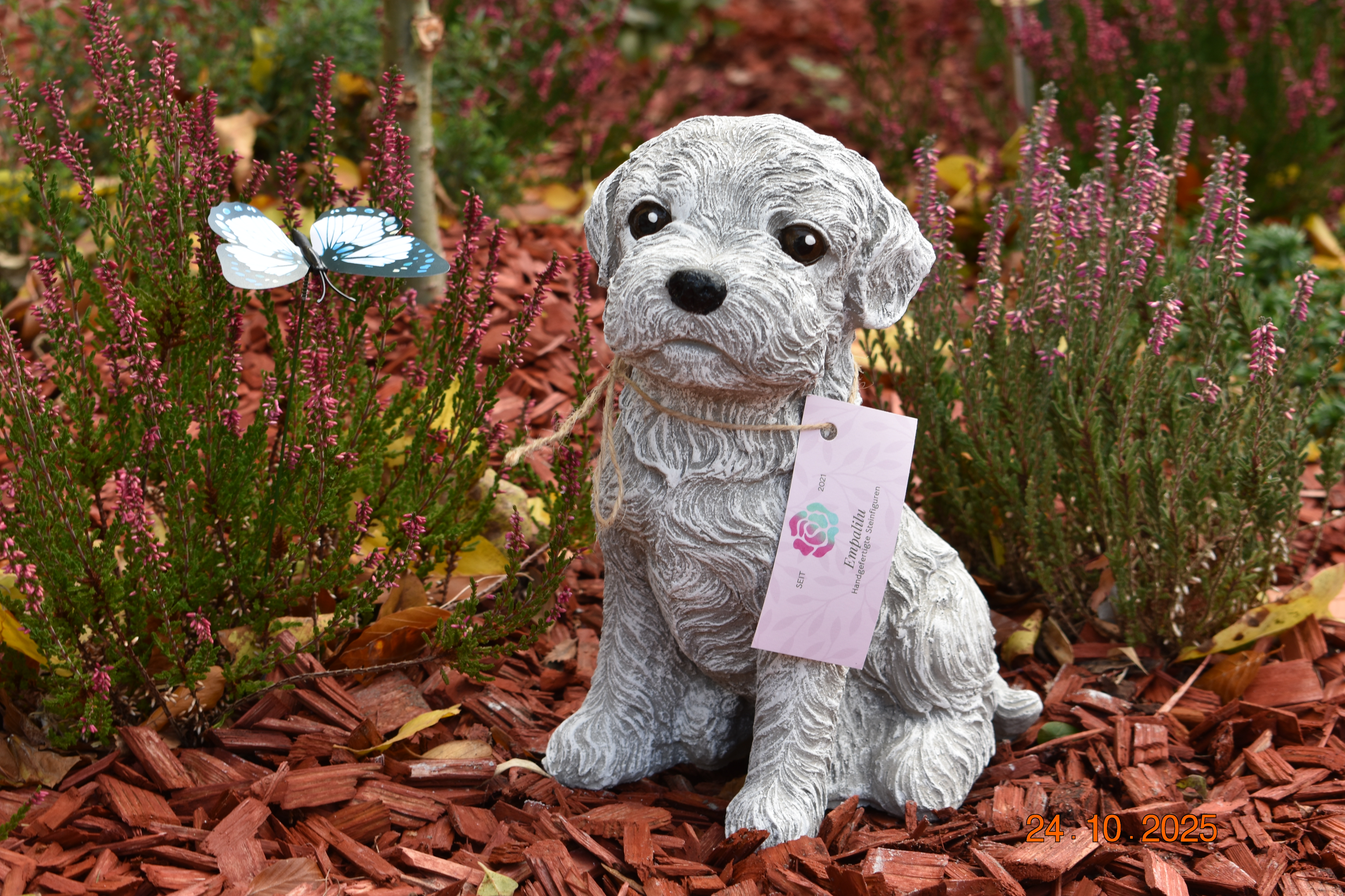 Großer Malteser, lebensecht, "Henny"