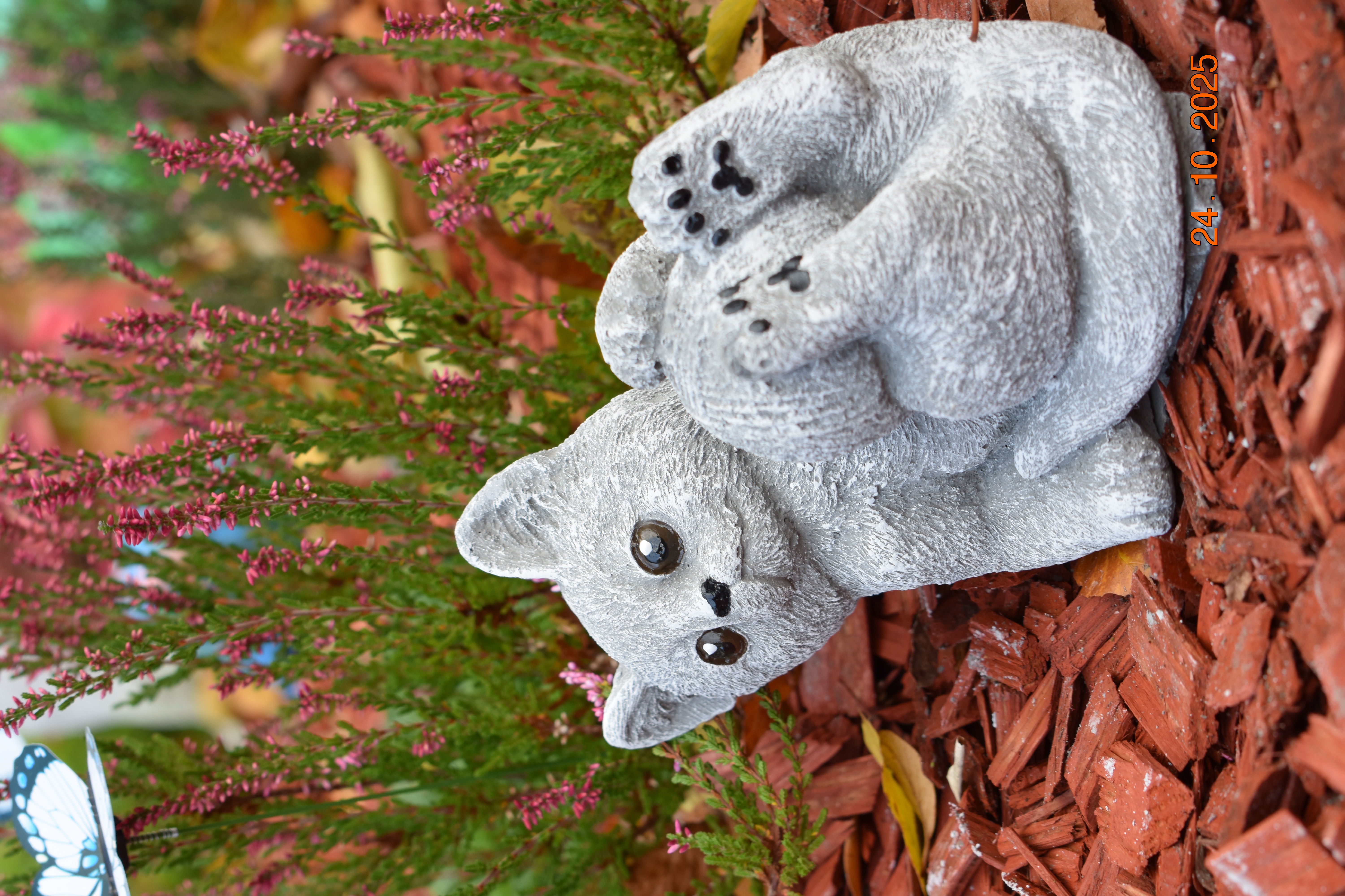 Kitten mit Wollknäuel "Mia"