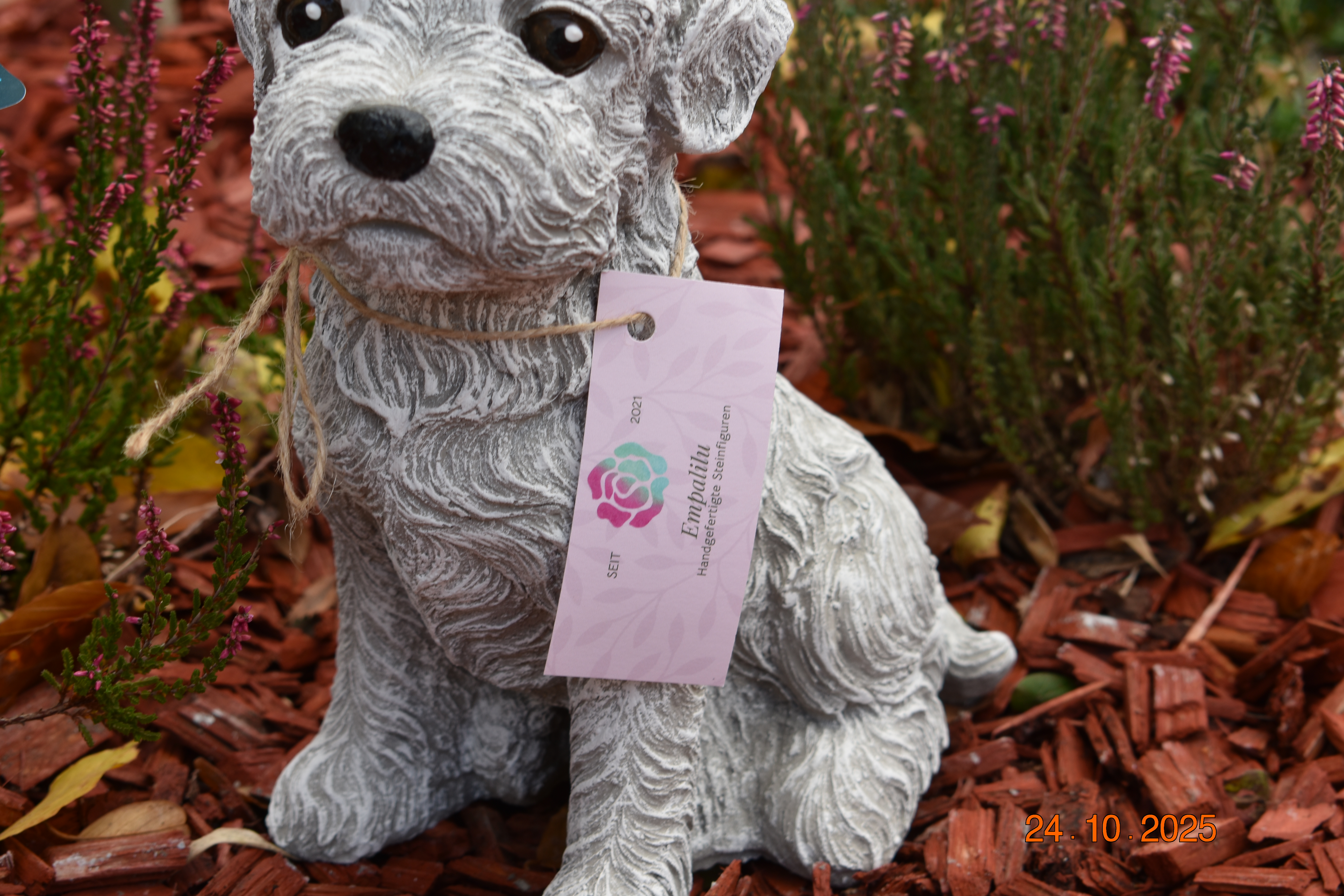 Großer Malteser, lebensecht, "Henny"