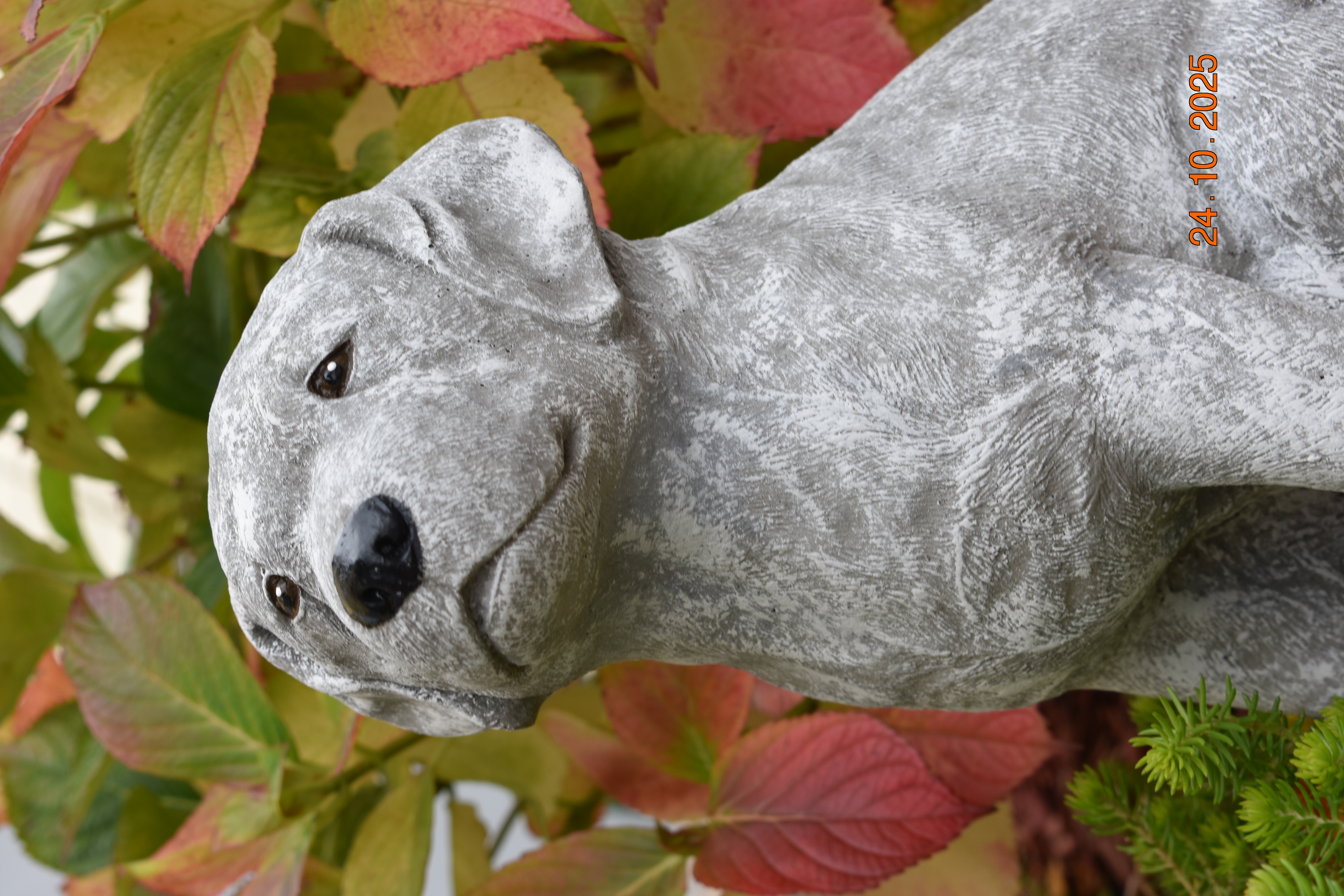 Großer Labrador "Mara"