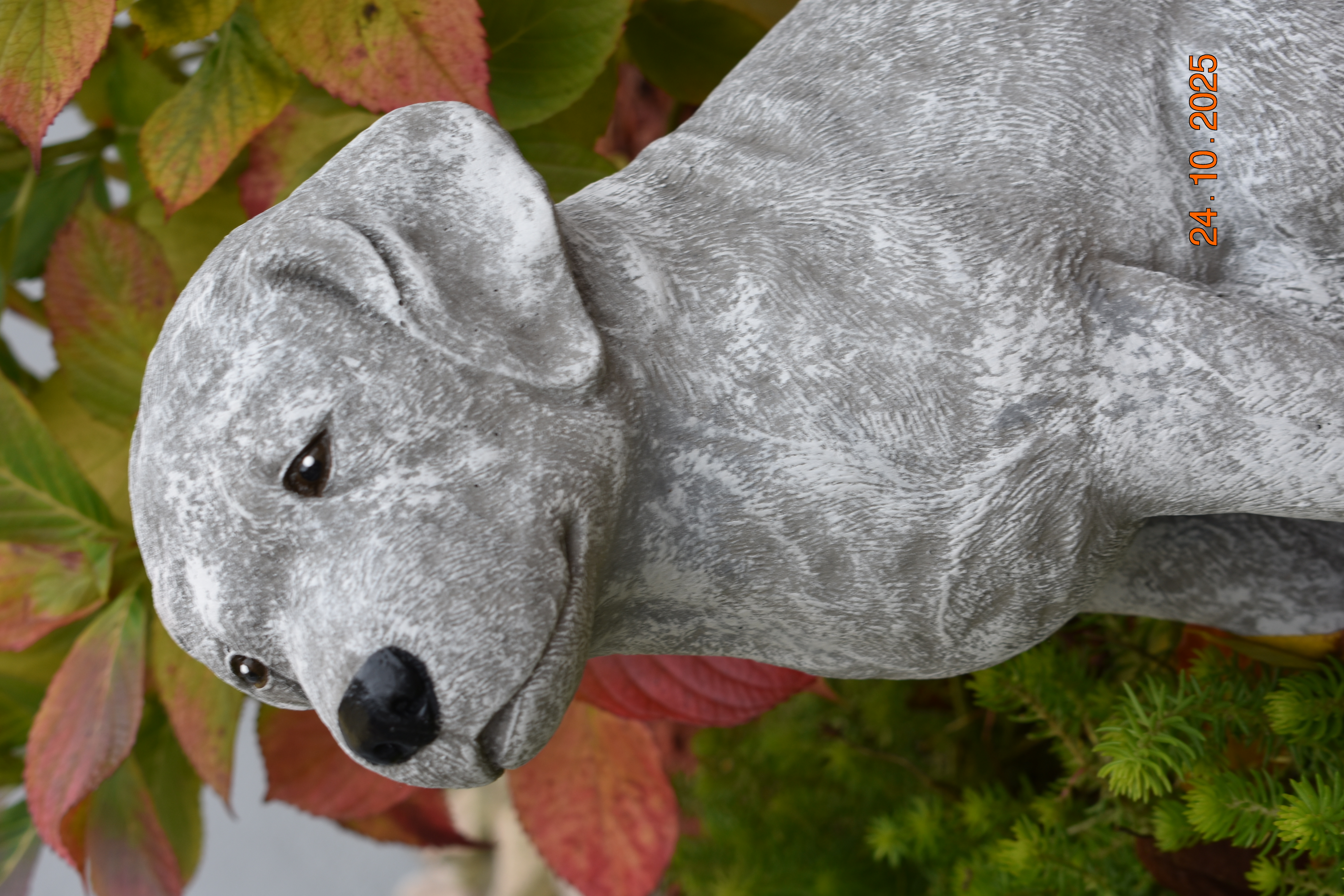 Großer Labrador "Mara"