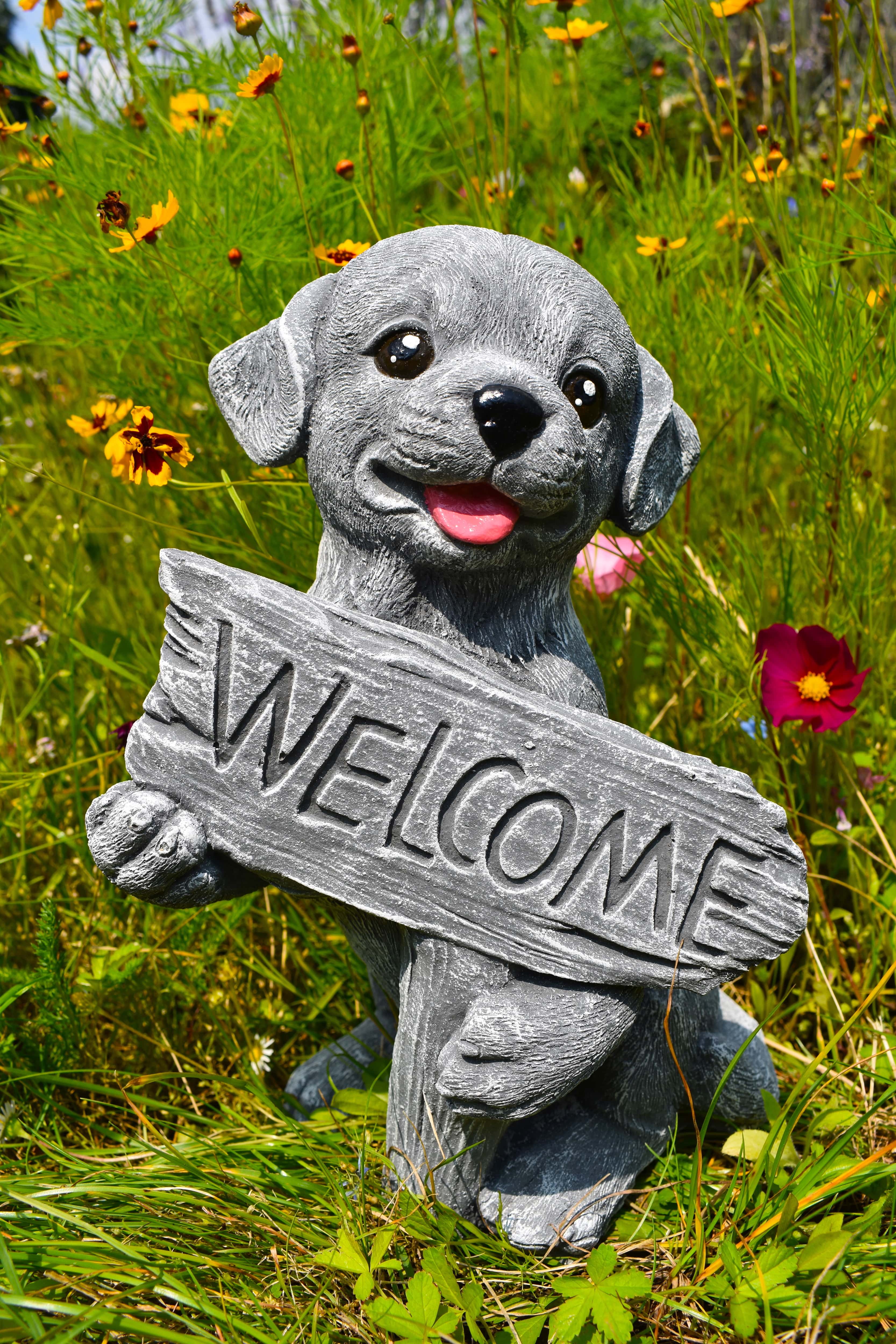 Hund Welpe Willkommen Welcome