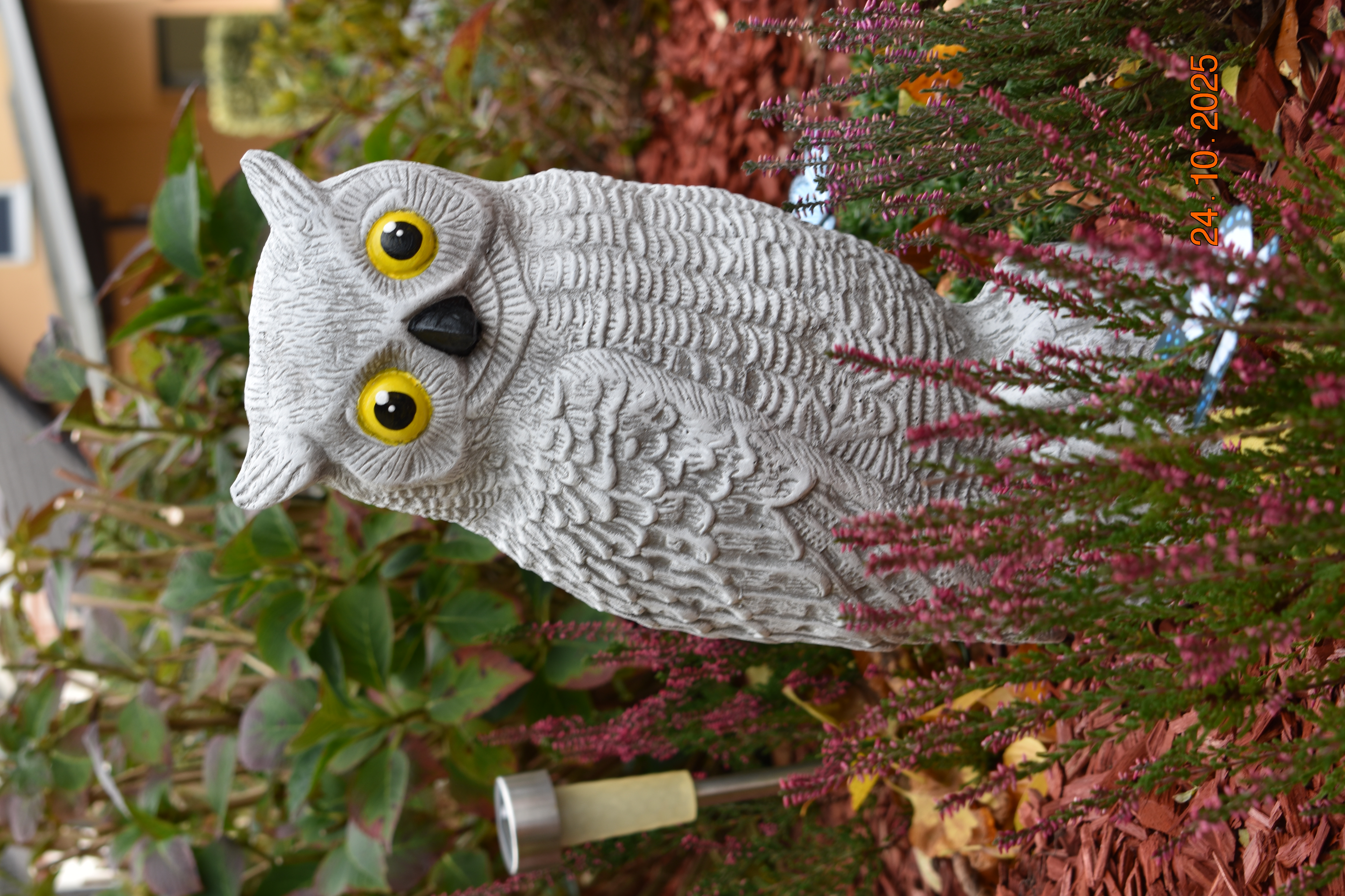 XXL Uhu mit gelben Augen "Bubo"