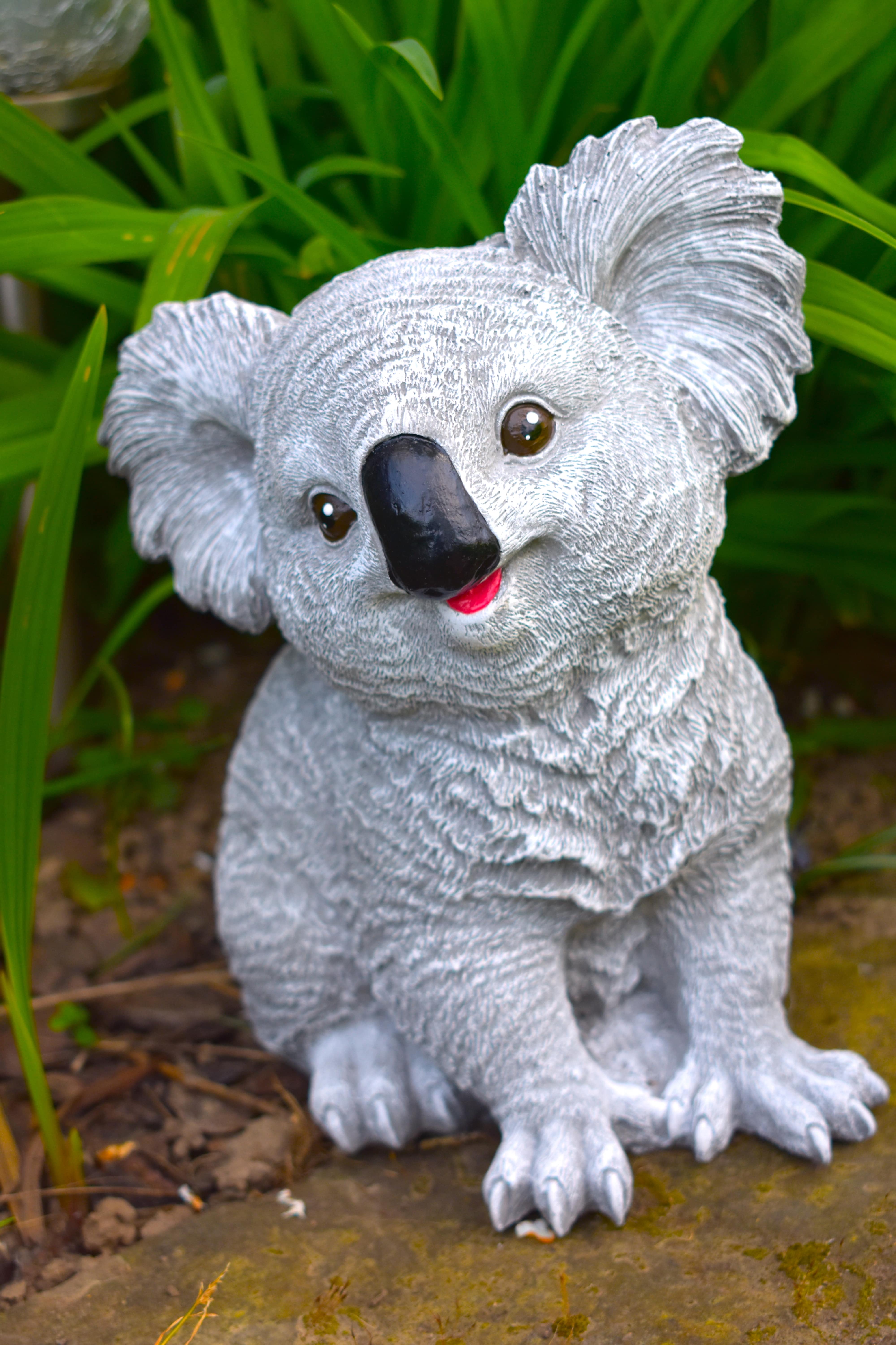Koala "Carla"